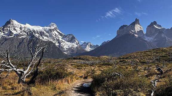 IMG_1196.jpg IMG_1196.jpg